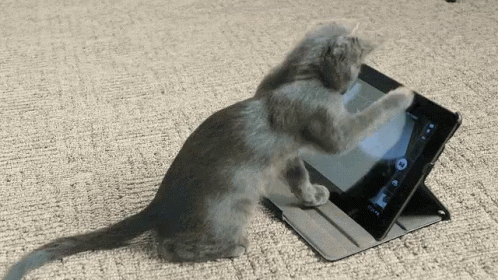 A Kitten Is Playing With A Tablet That Has The Time Of 12:14 GIF
