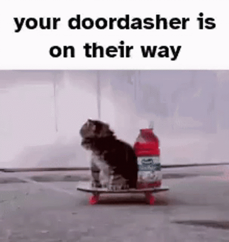 A Kitten Is Riding A Skateboard With A Bottle Of Soda On It . GIF