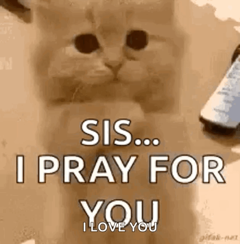 A Kitten Is Saying `` Sis ... I Pray For You , I Love You '' . GIF