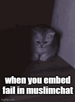 A Kitten Is Sitting In A Dark Room With The Words When You Embed Fail In Muslimchat GIF