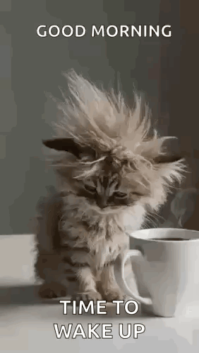 A Kitten Is Sitting Next To A Cup Of Coffee . GIF