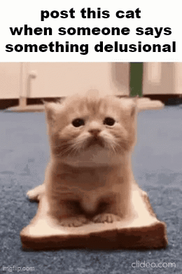 A Kitten Is Sitting On A Piece Of Bread With The Caption " Post This Cat When Someone Says Something Delusional " GIF