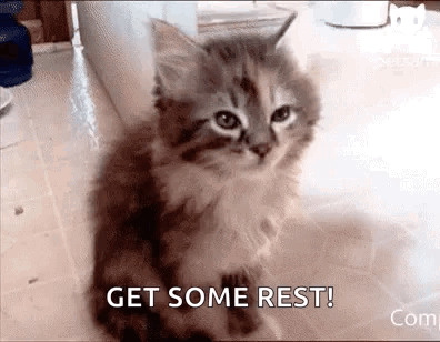 A Kitten Is Sitting On The Floor With The Words `` Get Some Rest '' Written On It . GIF