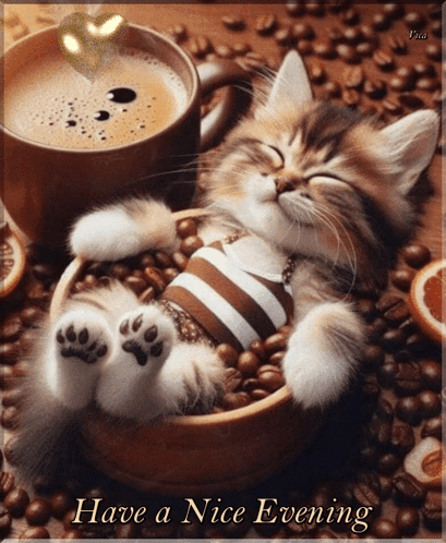 A Kitten Is Sleeping In A Bowl Of Coffee Beans With A Cup Of Coffee In The Background GIF
