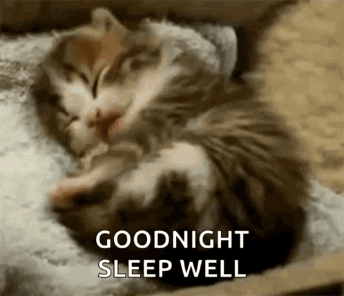 a kitten is sleeping on a pillow with the words `` goodnight sleep well '' written on the bottom .