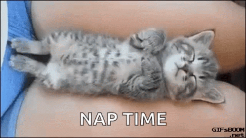 A Kitten Is Sleeping On Its Back On A Person 'S Lap With The Words Nap Time Written Above It . GIF