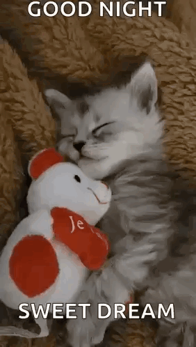 A Kitten Is Sleeping With A Teddy Bear And A Good Night Sweet Dream Message . GIF