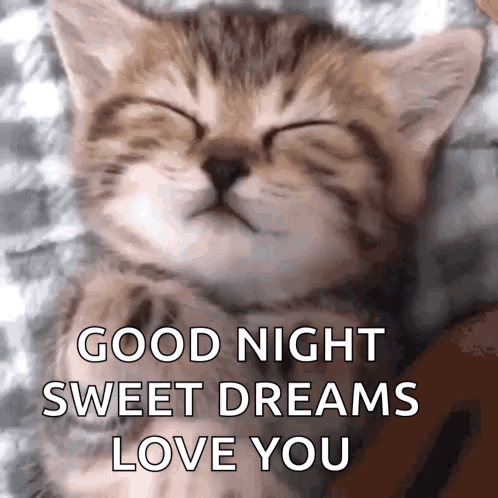 a kitten is sleeping with the words good night sweet dreams love you