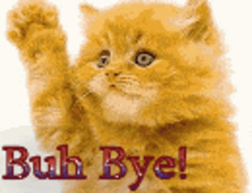 A Kitten Is Waving Its Paw With The Words Buh Bye Written Above It . GIF