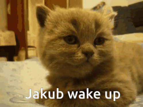 A Kitten Laying On A Bed With The Words " Jakub Wake Up " On The Bottom GIF