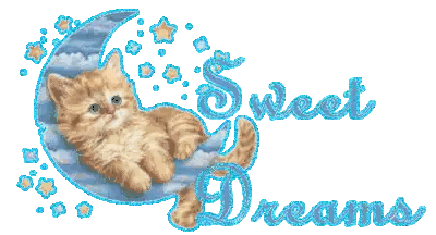 a kitten laying on a crescent moon with the words sweet dreams written below it