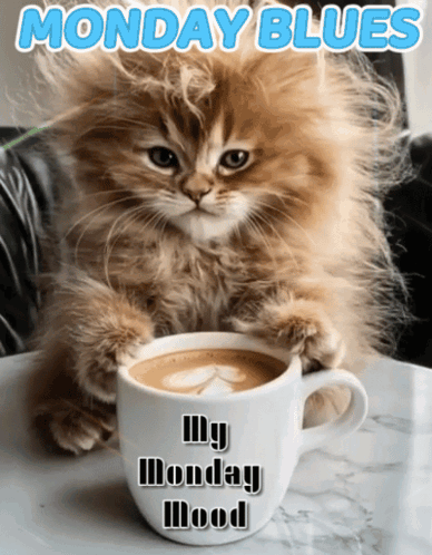 A Kitten Sitting Next To A Cup Of Coffee That Says Monday Blues On It GIF