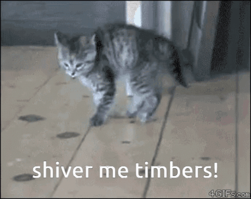 A Kitten Walking On A Wooden Floor With The Words Shiver Me Timbers GIF