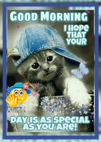 A Kitten Wearing A Blue Hat Is On A Good Morning Card GIF