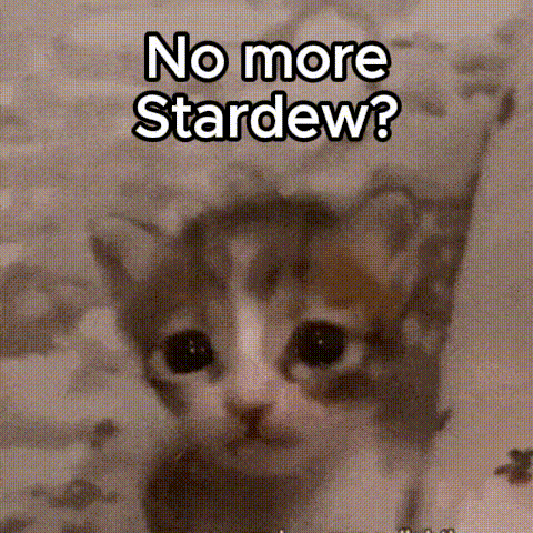 A Kitten Wearing A Hat With The Words `` No More Stardew '' On It . GIF