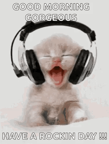 A Kitten Wearing Headphones Is Yawning And Says `` Good Morning Gorgeous Have A Rockin Day ! '' GIF
