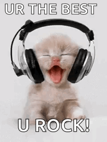 A Kitten Wearing Headphones With Its Mouth Open Is Screaming . GIF