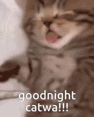 A Kitten With Its Tongue Out And The Words Goodnight Catwa !!! GIF