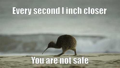 A Kiwi Bird Is Walking On A Beach With The Words Every Second I Inch Closer You Are Not Safe GIF