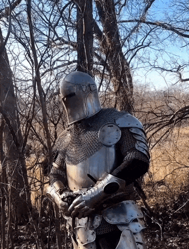 A Knight In Armor Is Standing In A Field With Trees In The Background GIF