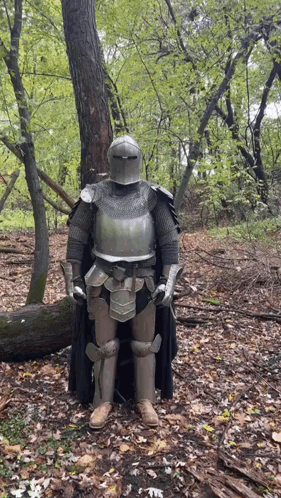A Knight In Armor Is Standing In The Middle Of A Forest GIF