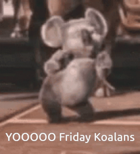 A Koala Bear Is Dancing With The Words Yoooo Friday Koalans Written Below It GIF