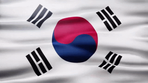 A Korean Flag With A Red Blue And White Circle GIF