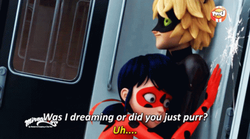 A Ladybug And Cat Noir From Miraculous Are Hugging On A Train GIF