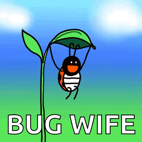 A Ladybug Is Hanging From A Green Leaf With The Words Bug Wife Written Below It GIF