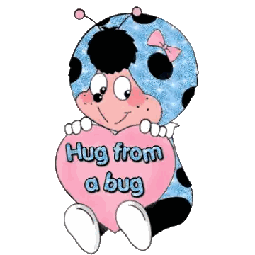 a ladybug with a pink heart that says hug from a bug