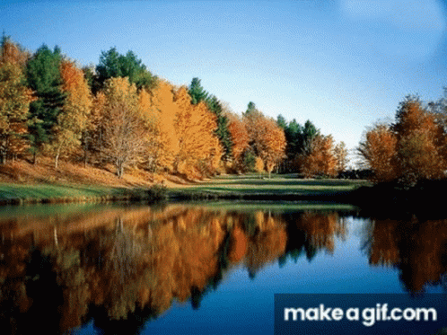 A Lake Surrounded By Trees And A Make A Gif.com Watermark GIF