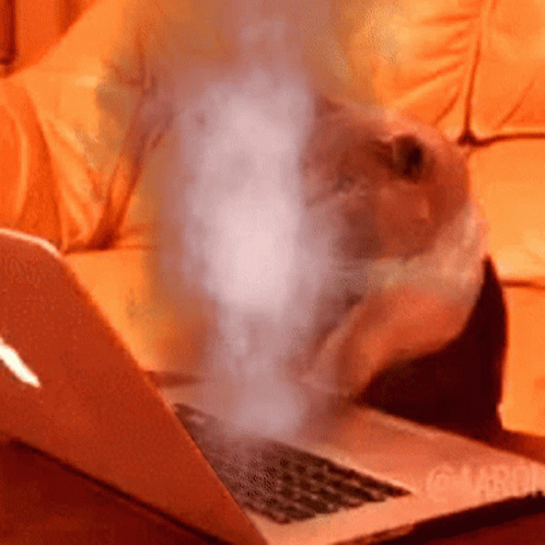 a laptop with smoke coming out of it and the word maron on the bottom left
