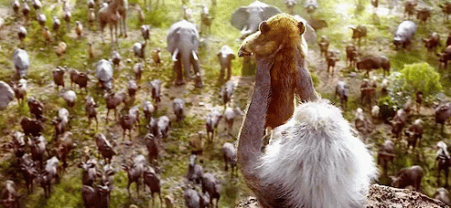 A Large Bird With A Long Neck Stands In Front Of A Herd Of Animals GIF