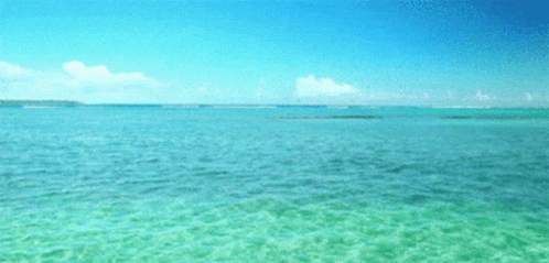 A Large Body Of Water With A Blue Sky And White Clouds In The Background GIF
