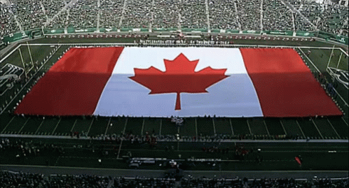 a large canadian flag is displayed on the field