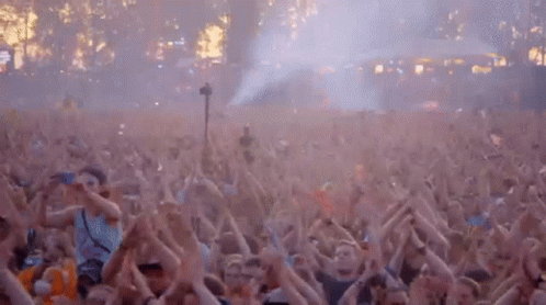 A Large Crowd Of People Are Dancing At A Concert . GIF