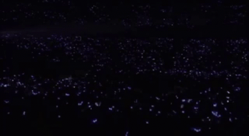 A Large Crowd Of People Are Watching A Concert In A Stadium . GIF
