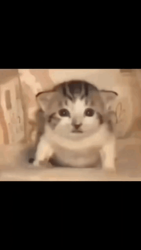A Large Explosion With A Lot Of Flames Coming Out Of It GIF