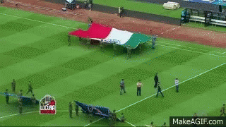 A Large Flag Is Being Displayed On A Soccer Field GIF