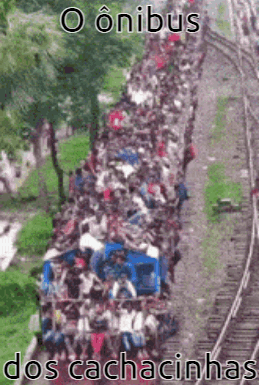 A Large Group Of People Are Riding On A Train With The Words O Onibus Dos Cachacinhas Written On The Bottom GIF