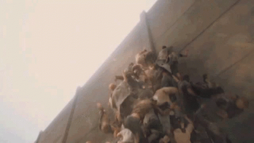 A Large Group Of People Are Standing Next To Each Other Against A Wall . GIF