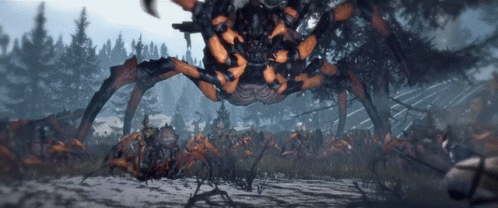 A Large Orange And Black Spider Is Standing In The Middle Of A Field GIF
