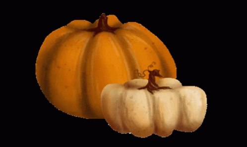 a large orange pumpkin and a smaller white pumpkin are on a black background