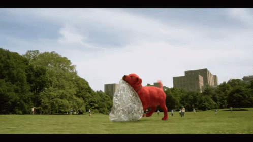 A Large Red Dog Is Holding A Plastic Bag In Its Mouth In A Park GIF