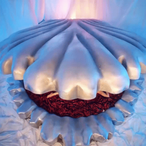 A Large White Shell With A Red Heart Inside GIF