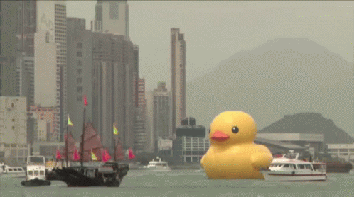 A Large Yellow Rubber Duck Is Floating In A Body Of Water In Front Of A City GIF