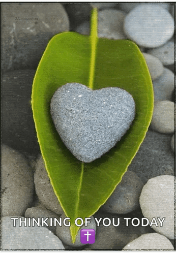 A Leaf With A Heart Shaped Rock On It And The Words Thinking Of You Today Below It GIF