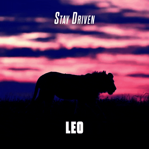 A Leo Walking On A Sunset GIF