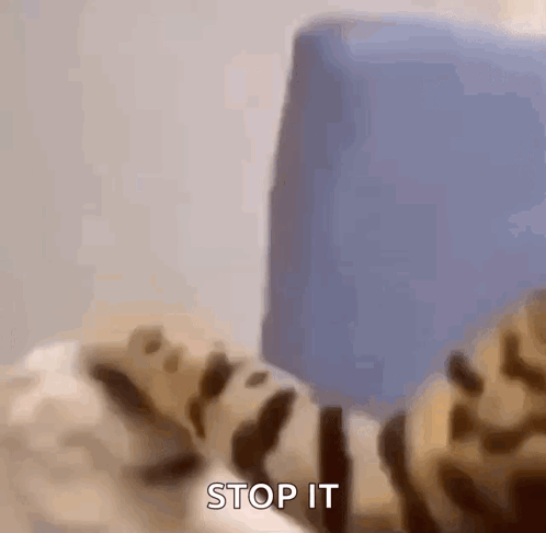 A Leopard Print Cat Is Laying On A Bed With The Words `` Stop It '' Written On The Bottom . GIF