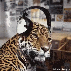 A Leopard Wearing Headphones With The Website Beta.hnldesign.nl Below It GIF